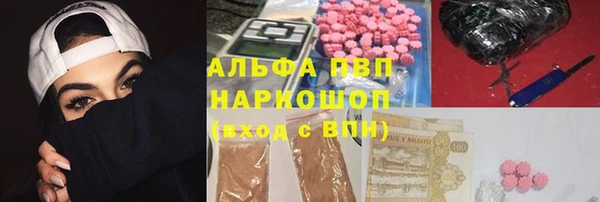 амф Аркадак