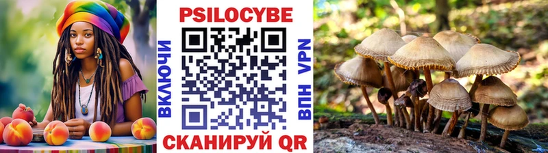 Галлюциногенные грибы MAGIC MUSHROOMS  где можно купить   Мышкин 