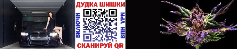 Бошки Шишки гибрид  купить наркотик  Мышкин 